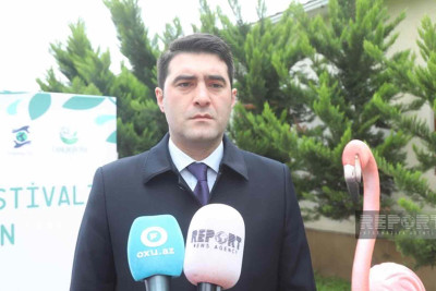 Lənkəranda keçirilən Flaminqo festivalında bir milyondan çox balıq dənizə buraxılıb
