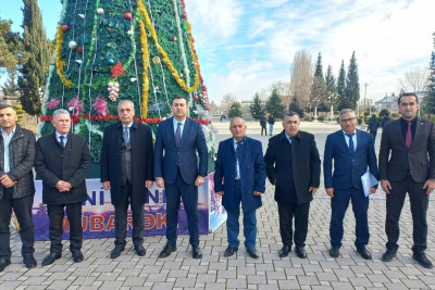 “Açıq qapı”: Masallıda vəkillər tərəfindən vətəndaşlara yardım göstərilib
