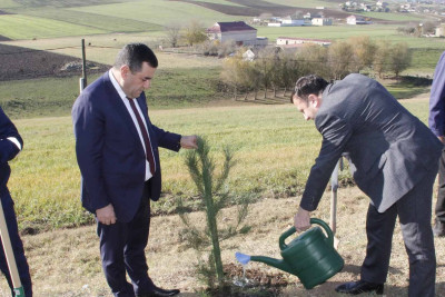 Cəlilabadda Heydər Əliyevin 100 illiyi münasibətilə aksiya keçirilib