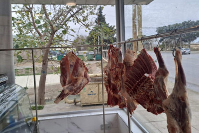 AQTA Masallıda qanunsuz heyvan kəsiminin qarşısını alıb