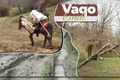 “Əxbarnamə” əsərində “Vaqoy” kimi qeyd olunan yaşayış məntəqəsi: Vaqo kəndi