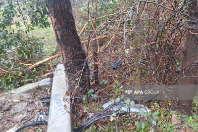 Lənkəranda ölümlə nəticələnən qəza