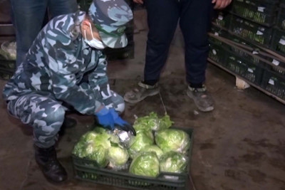 Astarada tərəvəz daşıyan nəqliyyatda 90 kq-dan çox narkotik aşkarlanıb