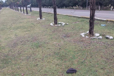 Lənkəranda qəza: piyada xəsarət alıb