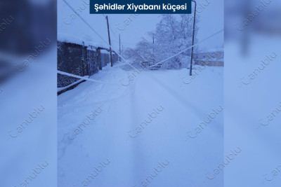 Lənkəranda qarın törətdiyi fəsadlar hələ də tam olaraq aradan qaldırılmayıb