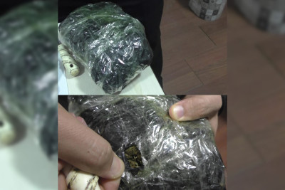 Masallı sakinlərindən marixuana götürülüb