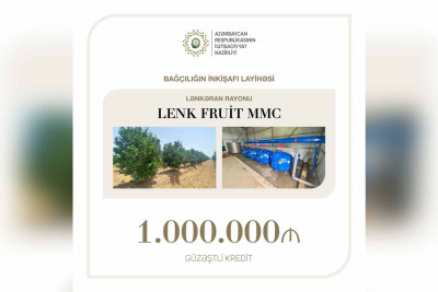 Lənkəranda bağçılığın inkişafı layihəsinə 1 milyon manat ayrılıb