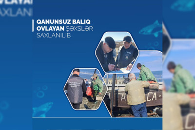 Lənkəranda qanunsuz ovla məşğul olan şəxslər cərimələniblər