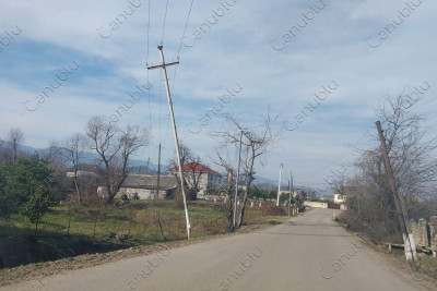 Masallıda idman yarışında zədə alan oğlan bütün ailə üzvlərini qətlə yetirib