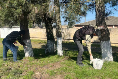 Lənkəranda “Yaşıl dünya naminə həmrəylik ili” çərçivəsində iməcilik keçirilib