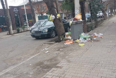 Lənkəran: Mir Mustafa Xan küçəsində zibillik problemi sakinləri narahat edir