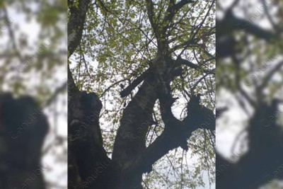 Astaranın Vaqo kəndində yerləşən dirəkdən sakinlər narazıdırlar