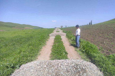 Boyxanlı kəndində yollar bərpa edilir