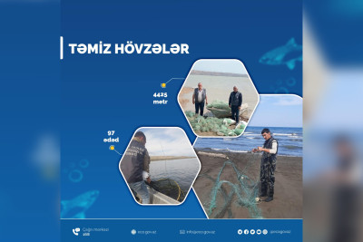 Xəzər dənizinin Lənkəran və Astara rayonları akvatoriyasından sintetik tor aşkar edilərək götürülüb