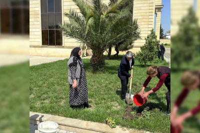 Cəlilabadda "Yaşıl dünya naminə həmrəylik ili" çərçivəsində iməcilik keçirilib