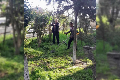Masallıda iməcilik təşkil edilib