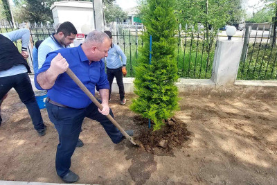 Lənkəranda təmizlik və abadlıq işləri həyata keçirilib