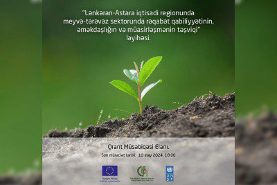 BMT-nin İnkişaf Proqramı və Avropa İttifaqı qrant müsabiqəsi elan edir