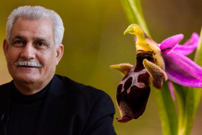 Xarıbülbülün Cəlilabada gətirilməsinin tarixçəsi