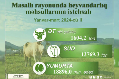 Masallıda kənd təsərrüfatı istehsalında artım baş verib