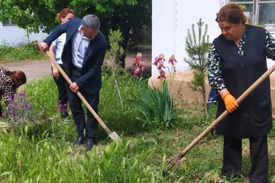 Masallıda "Yaşıl dünya naminə həmrəylik ili" çərçivəsində iməcilik keçirilib
