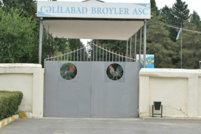 “Cəlilabad Broyler” ASC 172 min zərər edib