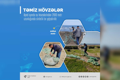 Cəlilabadda itkin düşən gənc ilə bağlı bəzi detallar müəyyənləşib