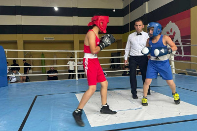 Lənkəranda boks idman növü üzrə yarış baş tutub