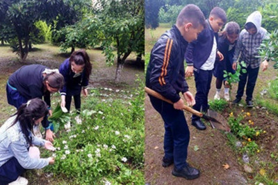 Masallıda ağac və güləkmə aksiyası keçirilib