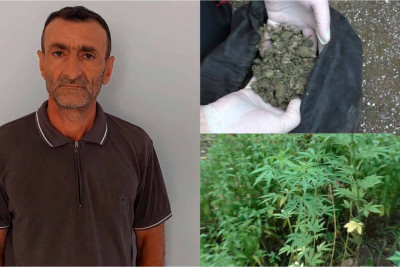 Astarada kultivasiya yolu ilə narkotik yetişdirən kişi həbs olunub