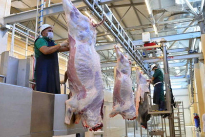 Bayramda qurbanlıq heyvanların satışı və kəsimi məntəqələri – ÜNVANLAR