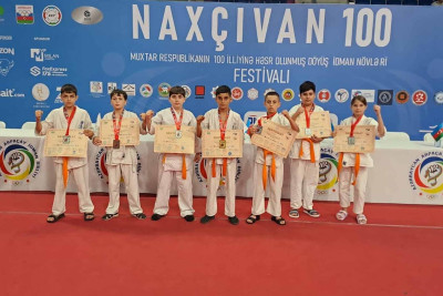 Cənub bölgəsindən olan idmançılar döyüş idman növləri festivalında uğur qazanıblar