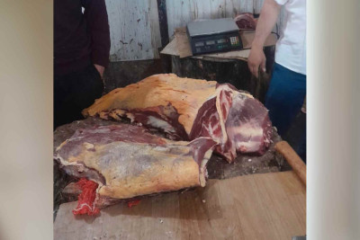 AQTA Lənkəranda növbəti monitorinq keçirib