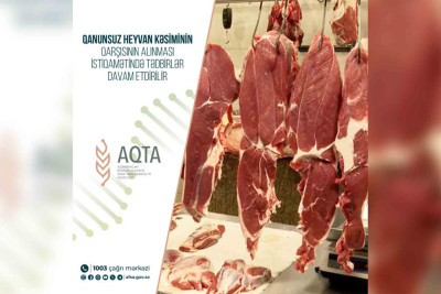AQTA Lənkəran və Masallıda monitorinqlər keçirib