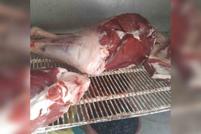 AQTA Lənkəran və Masallıda yoxlamalar aparıb