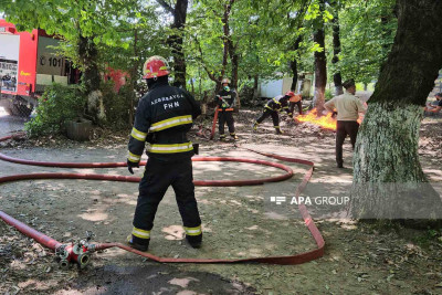 FHN Hirkan Milli Parkında tədbir keçirib