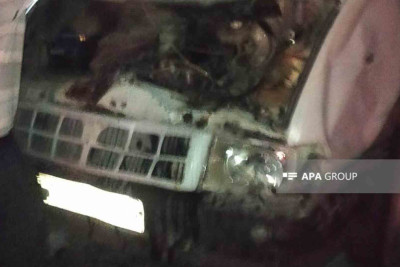 Lənkəranda qəza: yük avtomobili camışları vurub