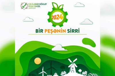 Cəlilabadda "Bir peşənin sirri" festivalı keçiriləcək