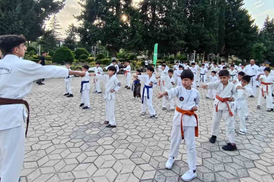 Lənkəran–Astara regionu üzrə idman afişası