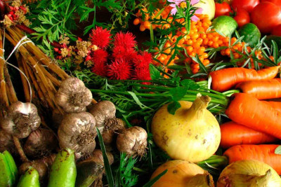 Cəlilabadda tərəvəz sahələri azaldılıb