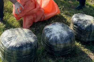 Lənkəranda 18 kiloqram narkotik vasitə dövriyyədən çıxarılıb