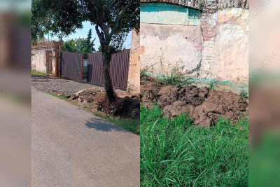 Arxlarda yaranan antisanitar vəziyyət: Lənkəran sakinlərinin problemi niyə həll olunmur?