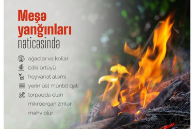 Cənub bölgəsində yanğına həssas ərazilər müəyyən olunub