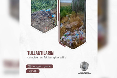 Masallıda avtotəmir sexi cərimələnib