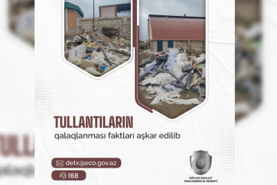 Astarada ətrafı zibilləyən qardaşlar cərimələniblər