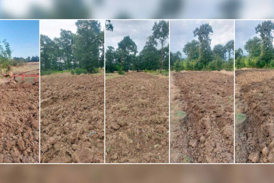 Masallıda tinglik sahəsi üçün torpaq hazırlığı aparılıb