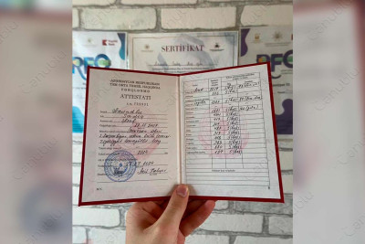 Yüksək nəticə göstərən Lənkəranlı gənc hansı universiteti seçdi?