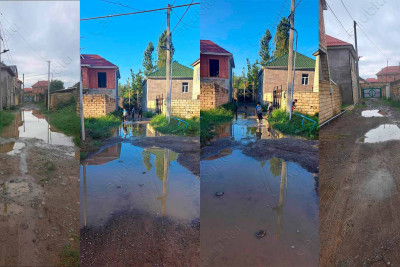 Lənkəranda baxımsız qalan küçə: “Nə taksi, nə də Təcili Tibbi Yardım avtomobili gəlir”