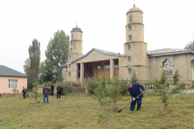 Lerik və Astara rayonlarında yaşıllaşdırma aksiyası