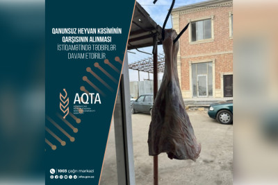 Cənubda qanunsuz heyvan kəsiminin qarşısı alındı